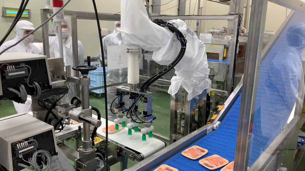食品工場 ロボット整列搬送システム